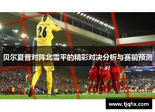 贝尔夏普对阵北雪平的精彩对决分析与赛前预测