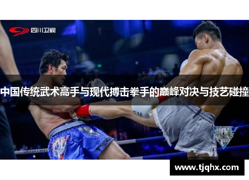中国传统武术高手与现代搏击拳手的巅峰对决与技艺碰撞